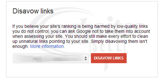 CLICK HERE TO ACCESS THE DISAVOW TOOL